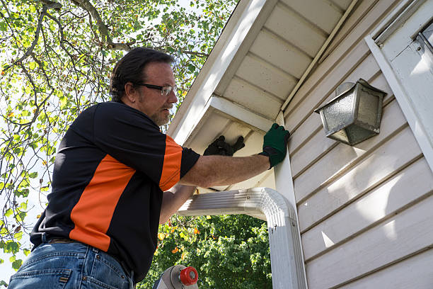 Best Fiber Cement Siding Installation  in South Waverly, PA